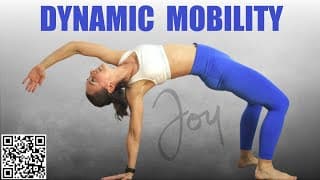 15 Min Total Body DYNAMIC MOBILITY Session