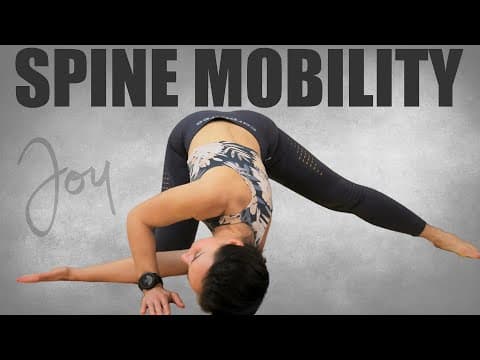 SPINE MOBILITY and BACK STRETCHING Routine